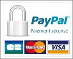 icone paypal