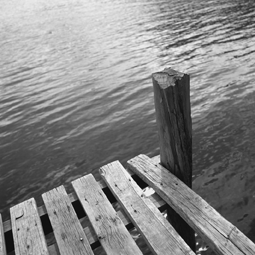 ponton